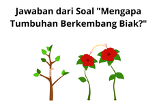 Jawaban dari Soal "Mengapa Tumbuhan Berkembang Biak?"