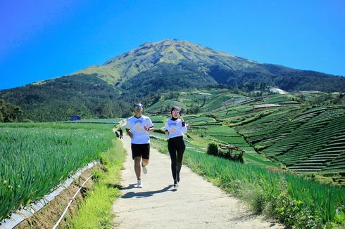 Wisata Terasering Sitegong, Sukomakmur, Magelang yang Indah Berlatar Gunung Sumbing