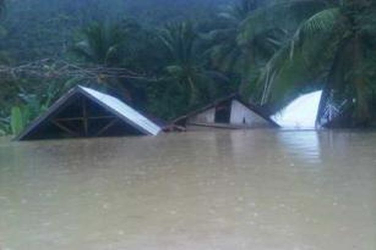 Banjir yang melanda Kabupaten Konawe Selatan dan Konawe, Sulawesi Tenggara tak hanya menenggalamkan rumah warga. Namun ribuan hektar sawah yang ditanami padi mengalami gagal panen akibat banjir tersebut  