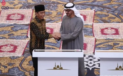 Sheikh Zayed Grand Mosque Symbolizes Indonesia, UAE Friendship: Jokowi