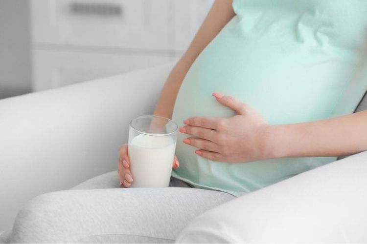Ilustrasi seorang ibu hamil sedang mengonsumsi susu. 

