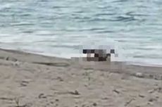 Polisi Selidiki Video WNA Diduga Lakukan Tindakan Asusila di Pantai Kuta Mandalika