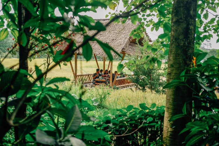 Bukit Air Resto, sebuah restoran dengan pemandangan sawah, di Bogor, Jawa Barat.