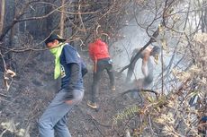 Sosok yang Diduga Pembakar Gunung Gede Pangrango, Pria Paruh Baya Berkumis Tipis