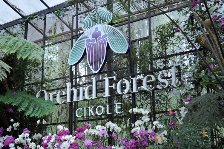 Orchid Forest Cikole, Bandung.