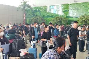Kabut Asap Lumpuhkan Bandara Supadio Pontianak, Dua Penerbangan dari Jakarta Gagal Mendarat