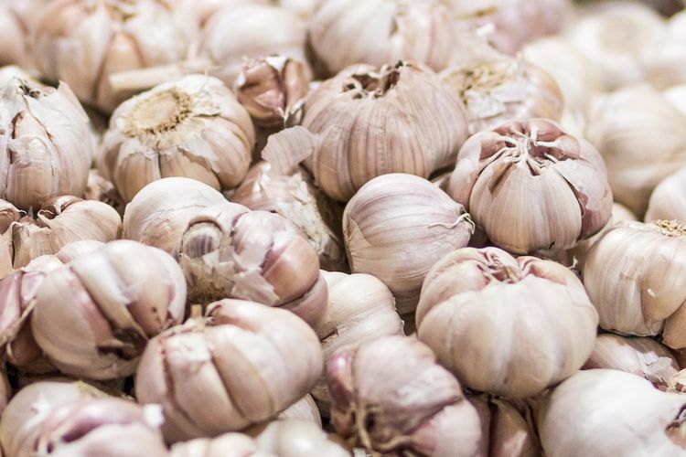 Ilustrasi bawang putih.
