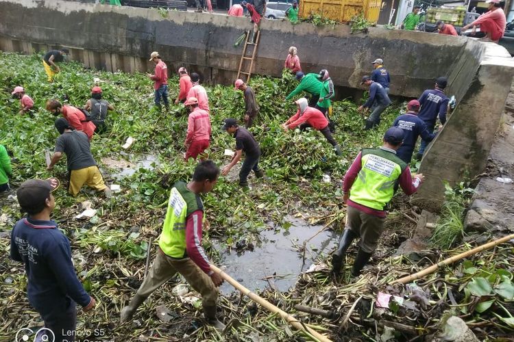 Petugas dari Dinas Pekerjaan Umum dan Balai Besar Wilayah Sungai membersihkan enceng gondok di Situ kawasan Pamulang.