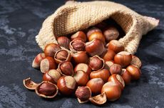 Bagaimana Nenek Moyang Manusia Memanen Hazelnut, Studi Ungkap