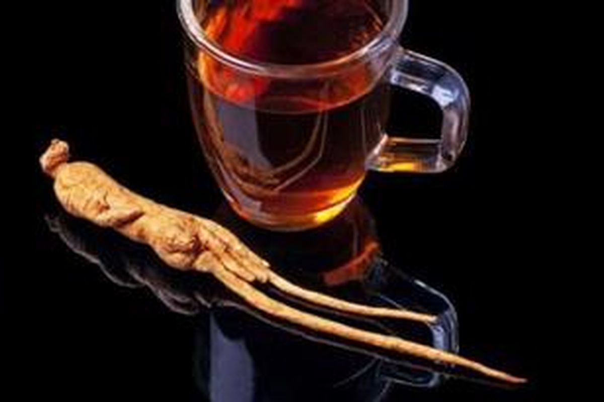 Dengan senyawa antioksidannya, ginseng Korea juga populer ketika diseduh menjadi teh.