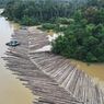 Video Viral Ratusan Kayu Gelondongan di Sungai Kapuas, Kemenhut Jelaskan Asalnya