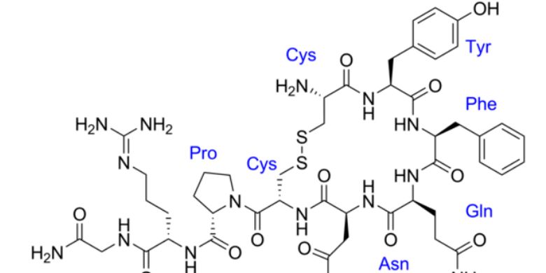 Hormon Oksitosin: Pengertian Dan Fungsinya