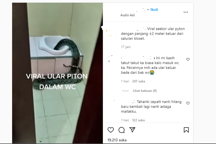 Tangkapan layar video ular piton masuk ke dalam lubang WC di salah satu sekolah di Tarakan, Kalimantan Utara.