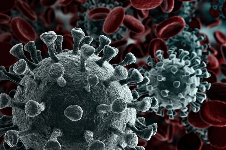 Ilustrasi virus SARS-CoV-2 penyebab Covid-19. Kenali jenis-jenis virus yang menular dan kerap menyerang manusia. 