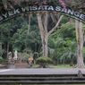 3 Hal Menarik yang Bisa Dilakukan Saat Berkunjung ke Sangeh Monkey Forest Bali