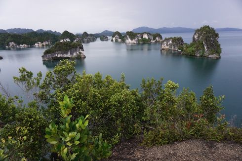 Ini Cara Agar Wisata ke Raja Ampat Tidak Mahal