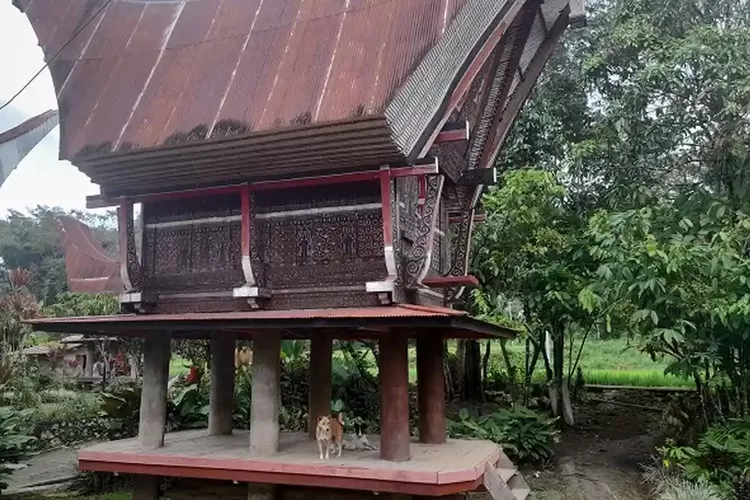 Mengenal Alang Toraja, Lumbung untuk Menyimpan Padi hingga Tempat Duduk Kehormatan