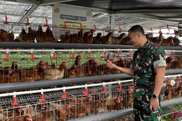 Rooftop gedung Komando Distrik Militer (Kodim) 0507 di Jalan Veteran, Marga Jaya, Bekasi Selatan, Kota Bekasi, terdapat urban farming peternakan ayam petelur, hidpronik tanaman pakcoy, cabai, tomat dan perikanan ikan nila, Kamis (14/3/2024).