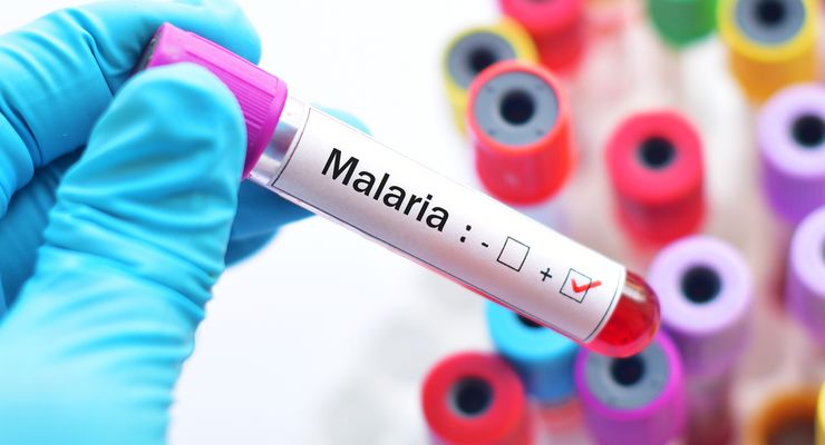 16 Kasus Malaria di IKN Ditemukan, Dinkes Kaltim dan PPU Sosialisasi Pencegahan kepada 120 Pekerja