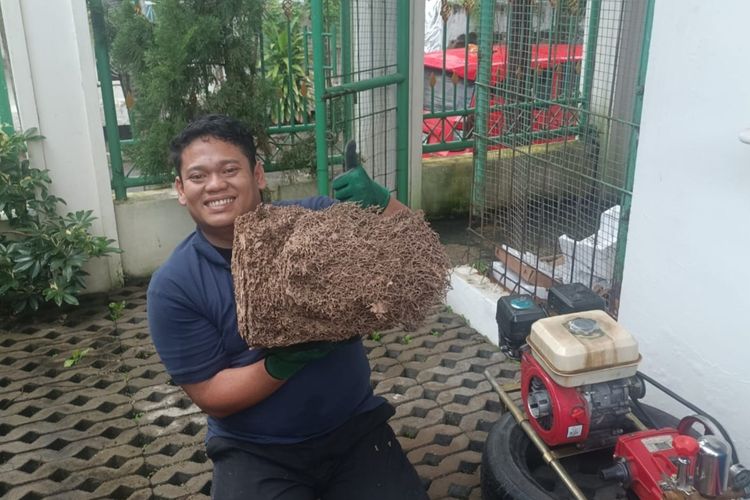Kisah Satria Pembasmi Tikus dan Kecoak, Raup Omzet Rp 50 Juta per Bulan
