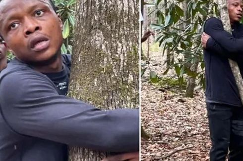 Pria Ini Memeluk 1.123 Pohon dalam Satu Jam, Pecahkan Rekor Dunia