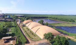 Komitmen ANJ Hadapi Isu Lingkungan, dari Perubahan Iklim hingga Energi Terbarukan