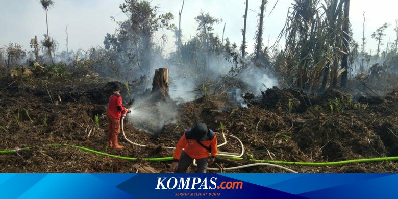 Meski Pandemi Covid-19, Ketua MPR Minta Pemerintah Tak Lupakan soal Karhutla