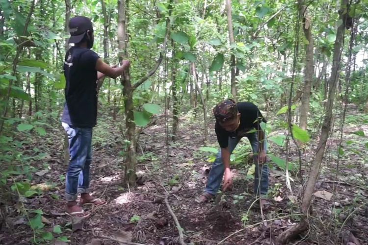 Fatihudin alias Fatee Jonesuan (kanan) saat menunjukkan lokasi yang disinyalir kuat sebagai tempat produksi gerabah pada zaman kerajaan Majapahit.