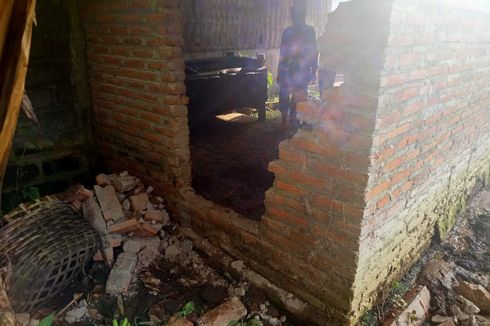 Tembok Rumah Warga di Lumajang Dijebol Maling, 2 Ekor Sapi Limosin Raib