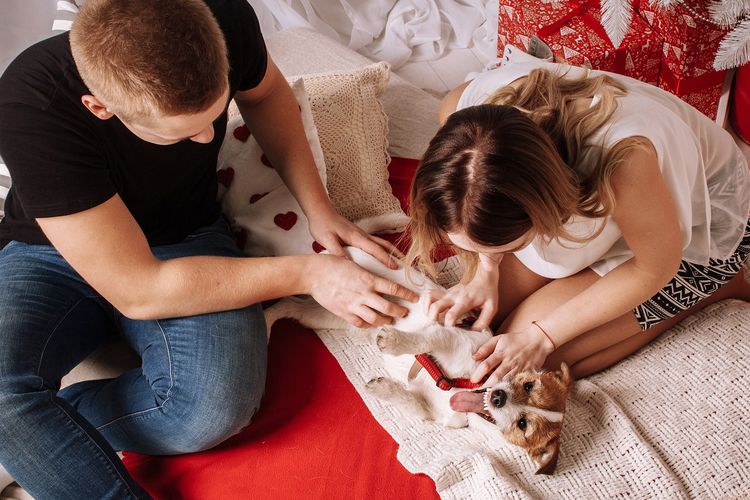 Ilustrasi pasangan bersama anjing peliharaan. 