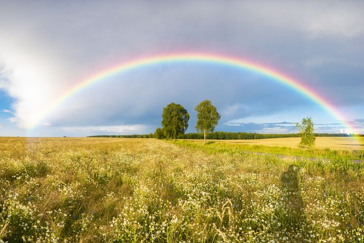 El secreto del universo: resulta que el mejor arcoíris de la tierra está en Hawái