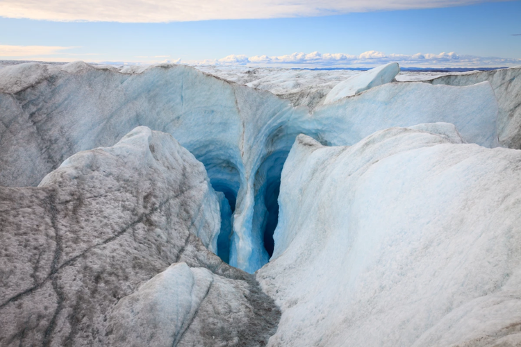 Peneliti menemukan fosil tanaman di lapisan es Greenland sedalam 1,4 km.
