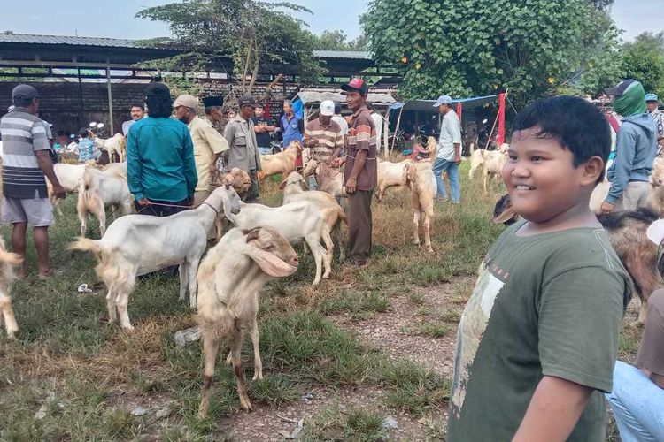 Mirza Ukail Arfia (8) bocah asal Desa Burneh, Kecamatan Burneh, Kabupaten Bangkalan, Jawa Timur bisa berkurban dengan cara menabung setiap hari dari uang jajan sekolah dan madrasahnya. Tahun depan, bocah ini punya keinginan bisa berkurban sapi.