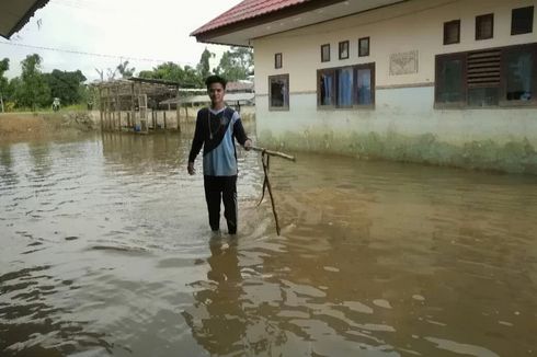 Banyak Ular Kobra Masuk Sekolah yang Terendam Banjir di Nunukan