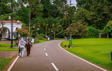 Kebun Raya Bogor.