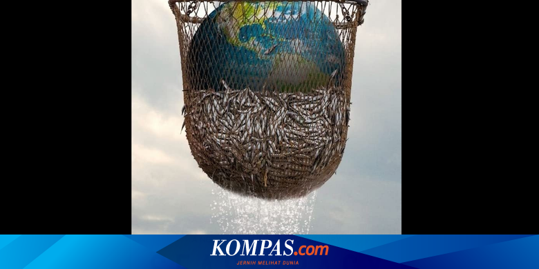 Sinopsis Seaspiracy Menguak Ancaman Terbesar Di Lautan Tayang 24 Maret Di Netflix