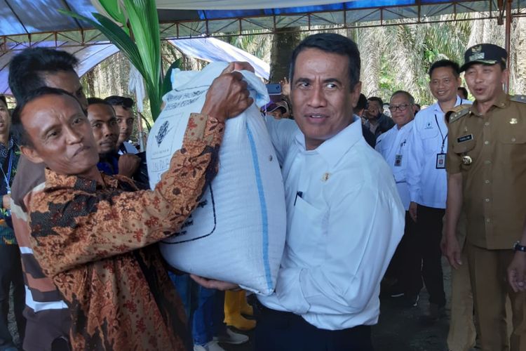 Gerakan Panen Padi Organik dan Olah tanah dan tanam di Desa Salonsa Jaya, Kabupaten Morowali bersama Menteri Pertanian (Mentan) Andi Amran Sulaiman.