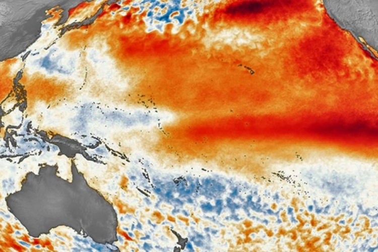 Perbedaan suhu permukaan laut di seluruh dunia selama fenomena El Nino yang terjadi pada 2015. PBB memperingatkan dampak El Nino pada 2023 akan dapat memicu kenaikan suhu global.
