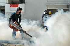 Virus Zika Merebak, Semua Pesawat dari Malaysia dan Singapura Wajib Disinfeksi