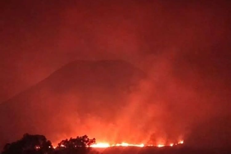 Kebakaran Hebat Terjadi di Gunung Lokon, 300 Hektare Lahan Terbakar