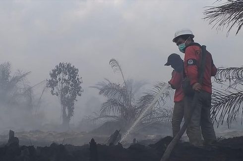 Karhutla di Riau Meluas, Tim Pemadam Berjibaku dengan Api Siang dan Malam