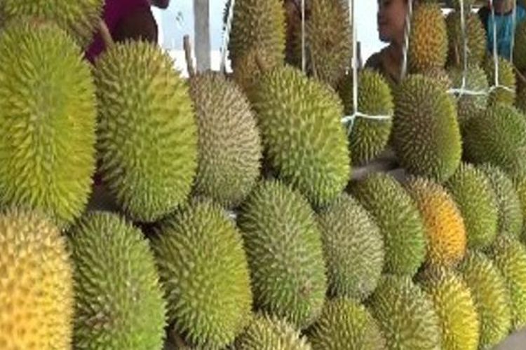 Kawasan wisata buah di Kecamatan Binuang, Kabupaten Polewali Mandar, Sulawesi Barat terkenal dengan lapak buah terpanjang di dunia yang membentang belasan kilometer dari Desa Rea, Kanang hingga Desa Silopo, perbatasan Polewali Mandar (Sulbar) dan Kabupaten Pinrang (Sulsel). 