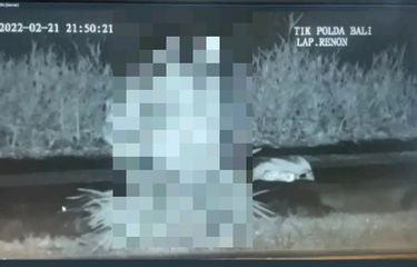 Viral, Video Pasangan Muda-mudi Mesum di Lapangan Renon Bali ...