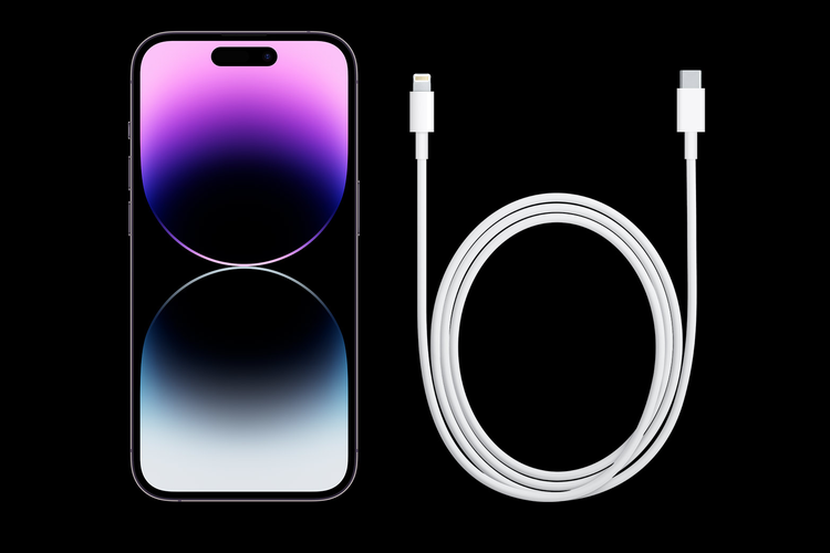 Ilustrasi iPhone dijual tanpa charger.