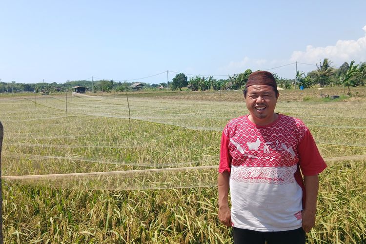 Bumdes di Bangka Bertahan di Tengah Tantangan, Sawah Agrowisata hingga Madu Hutan Jadi Penopang Ekonomi Warga