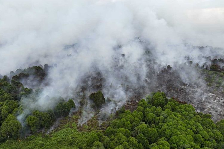 Kebakaran hutan dan lahan (Karhutla) melanda Kecamatan Bakongan, Kabupaten Aceh Selatan, Provinsi Aceh.