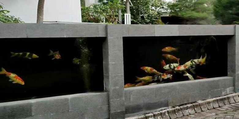 Pagar rumah yang terbuat dari kolam ikan koi milik Jeje (35), warga Malang, Jawa Timur, ini viral di media sosial.