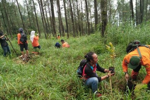 Jaga Pasokan Air, Ribuan Pendaki Hijaukan Gunung Ungaran