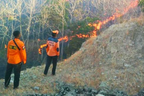 Warga Bakar Daun Kering, 37 Hektare Lahan Gunung Bancak Terbakar