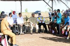 Ketika Jokowi Dengarkan Keluhan Para Peternak Kerbau di Maluku...